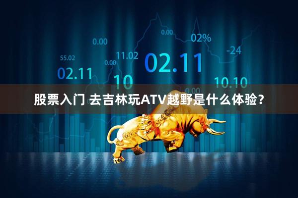 股票入门 去吉林玩ATV越野是什么体验？
